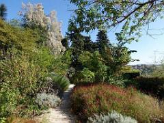 183 HYERES ET SES PALMIERS D01_000043